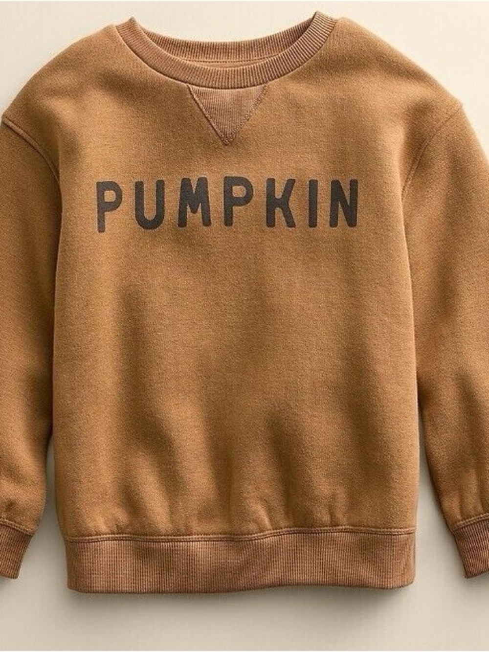 NIB Lauren Conrad Pumpkin Crewneck Sweatshirt - Brown